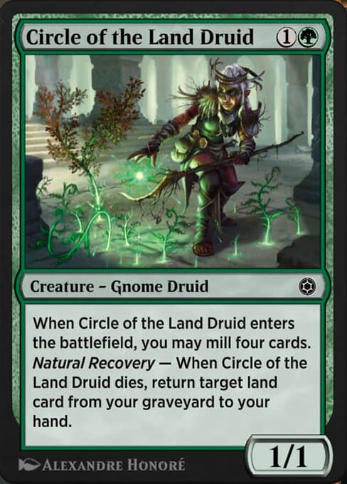 Circle of the Land Druid