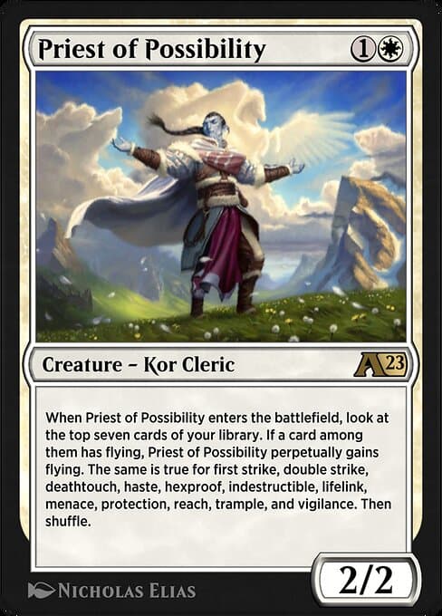 Priest of Possibility