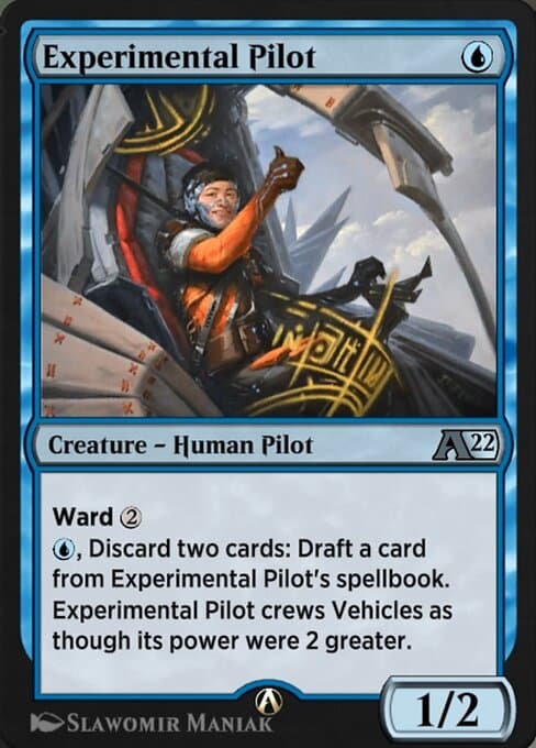 Experimental Pilot