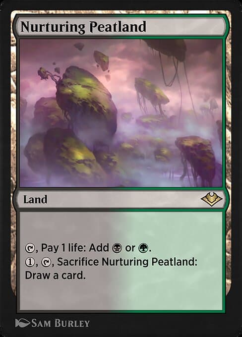 Nurturing Peatland