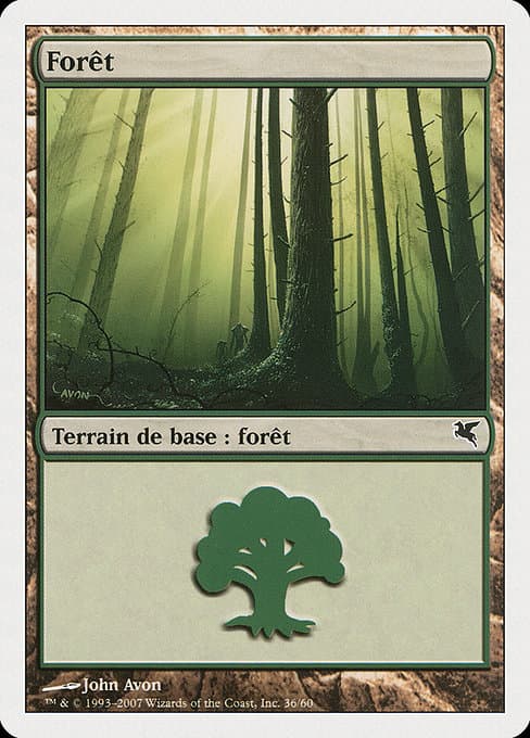 Forest