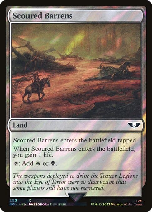 Scoured Barrens