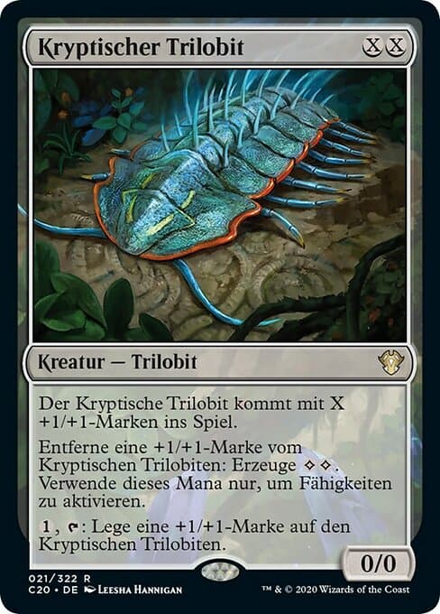 Cryptic Trilobite