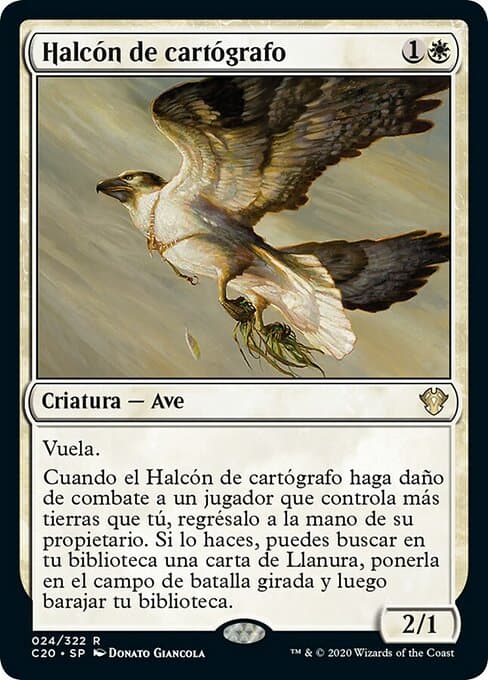 Cartographer's Hawk