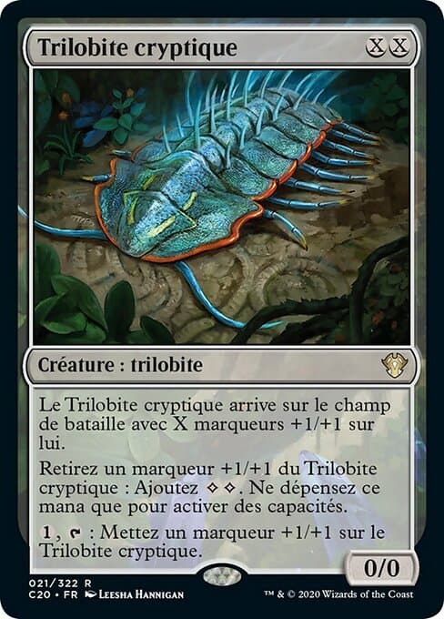 Cryptic Trilobite