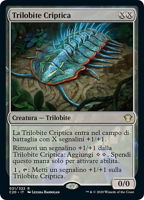 Cryptic Trilobite