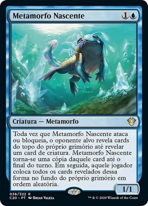 Nascent Metamorph