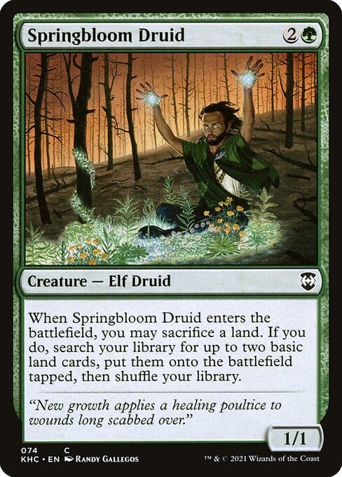 Springbloom Druid