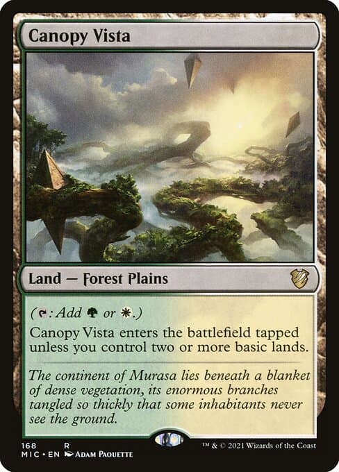 Canopy Vista