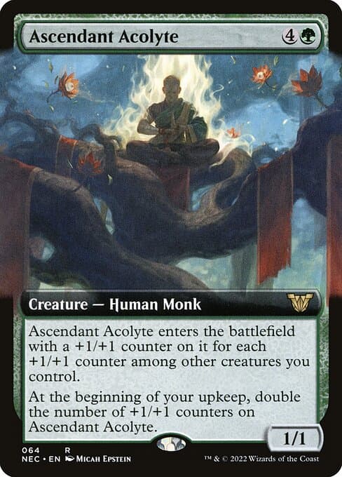 Ascendant Acolyte