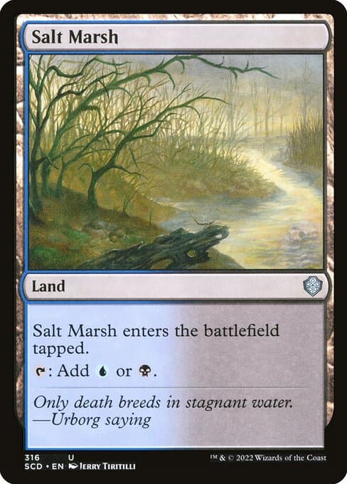 Salt Marsh