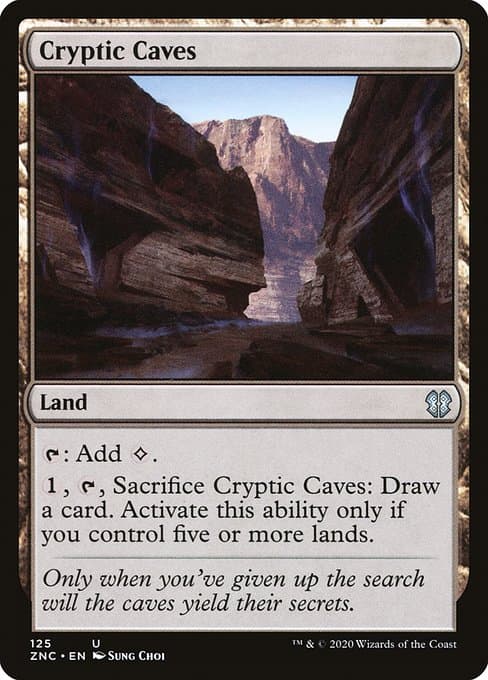 Cryptic Caves