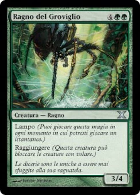 Tangle Spider