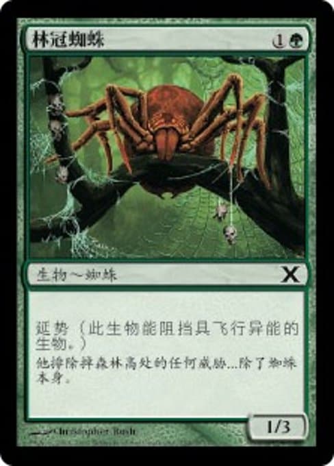 Canopy Spider