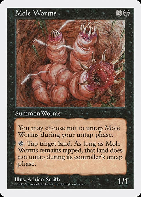 Mole Worms