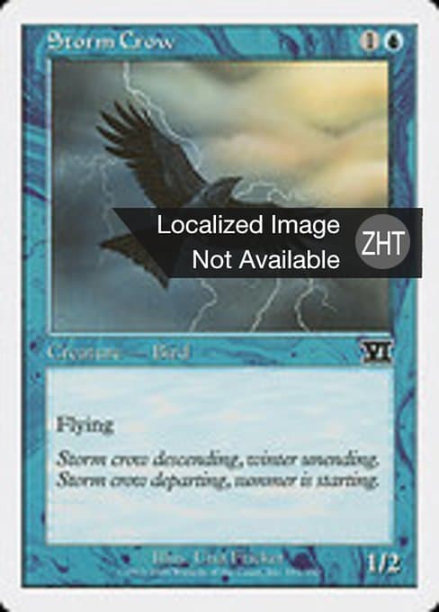 Storm Crow