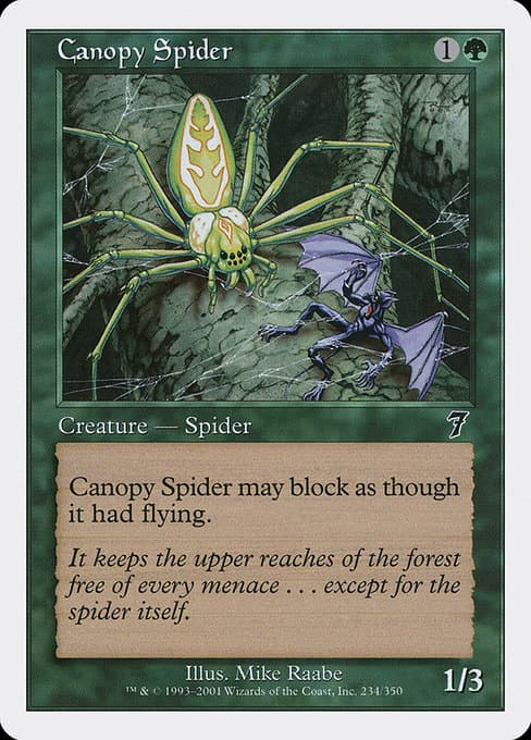 Canopy Spider