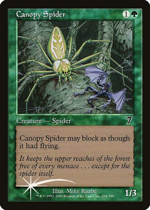 Canopy Spider