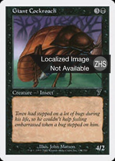 Giant Cockroach