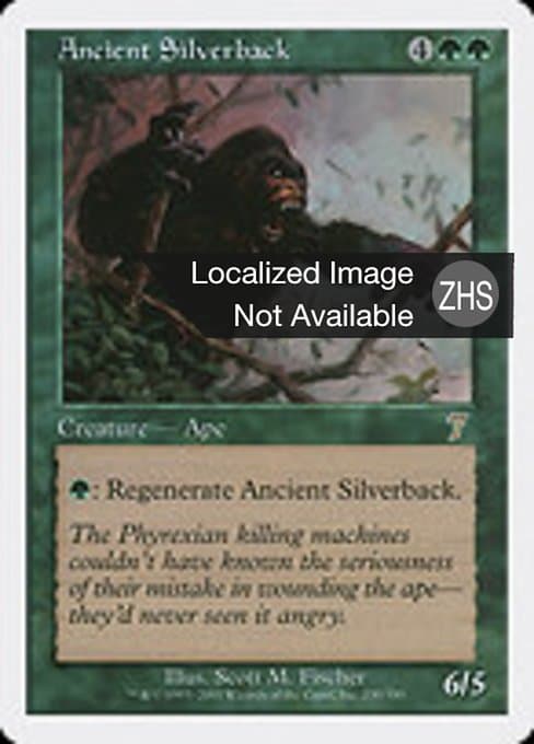 Ancient Silverback