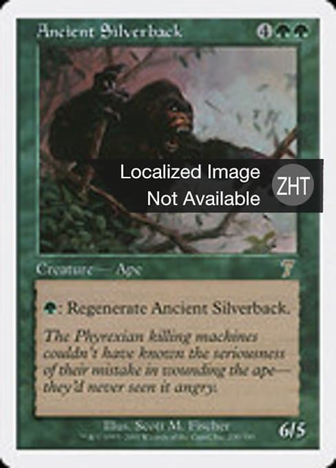 Ancient Silverback