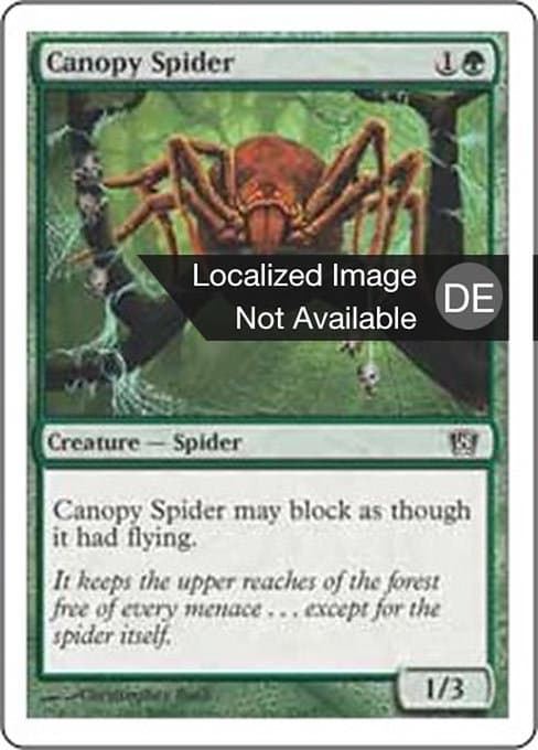 Canopy Spider