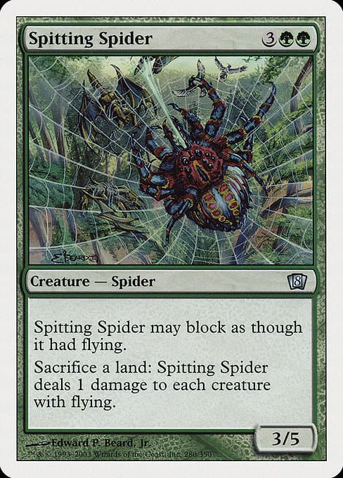 Spitting Spider