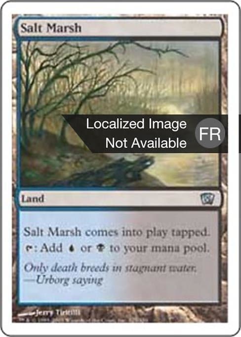 Salt Marsh