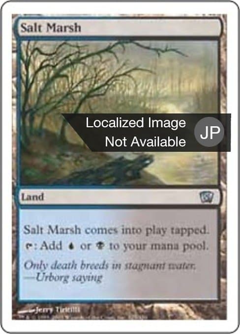 Salt Marsh