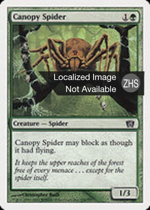 Canopy Spider