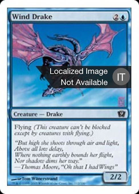 Wind Drake