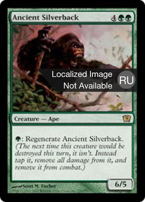 Ancient Silverback