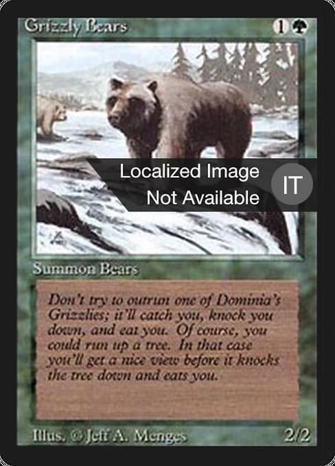 Grizzly Bears