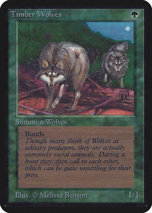 Timber Wolves