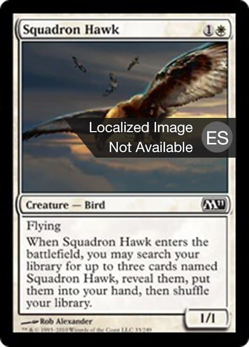 Squadron Hawk