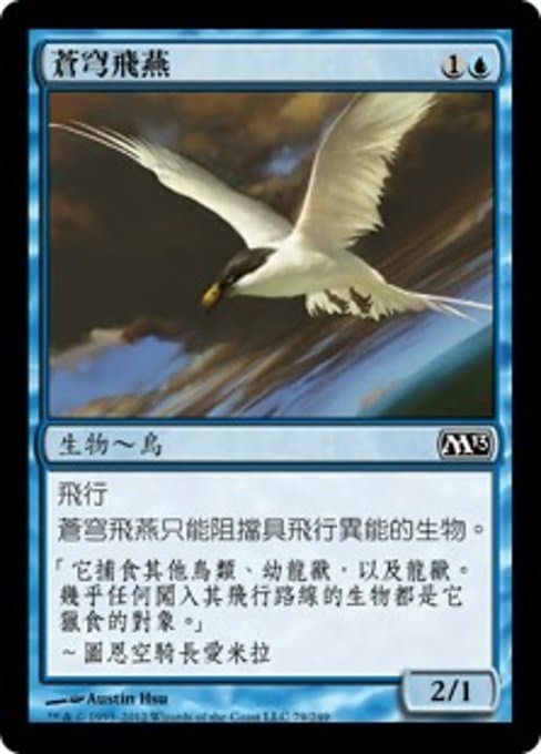 Welkin Tern