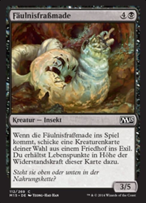 Rotfeaster Maggot