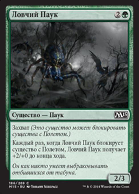 Netcaster Spider