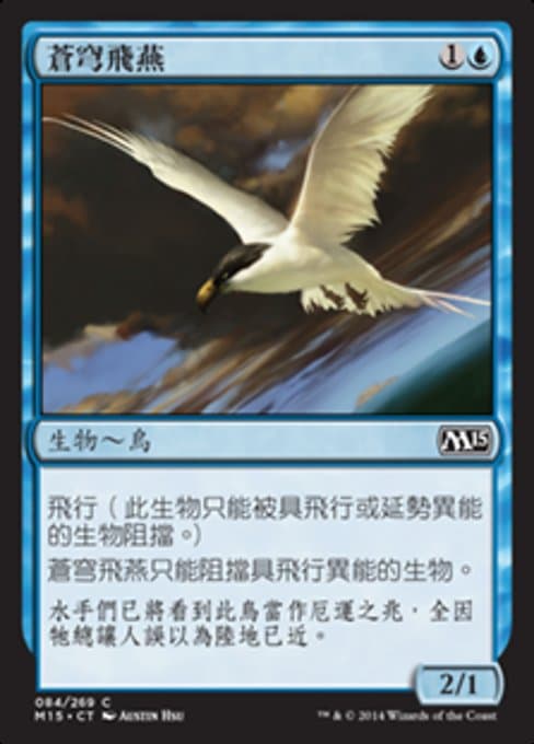 Welkin Tern