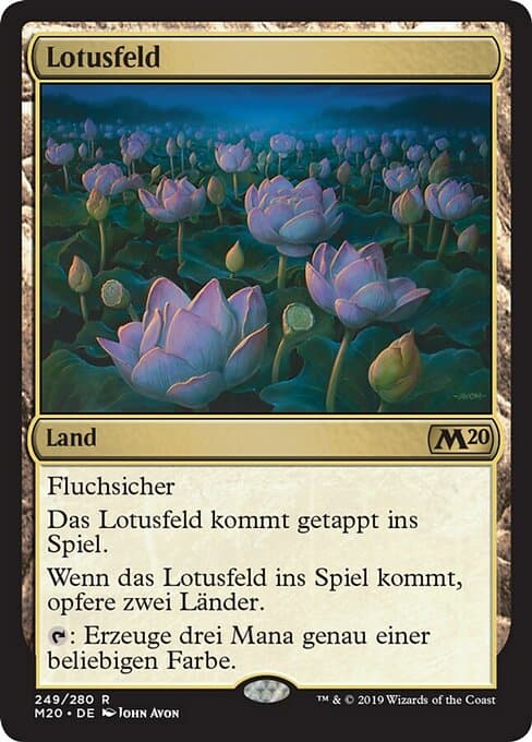 Lotus Field