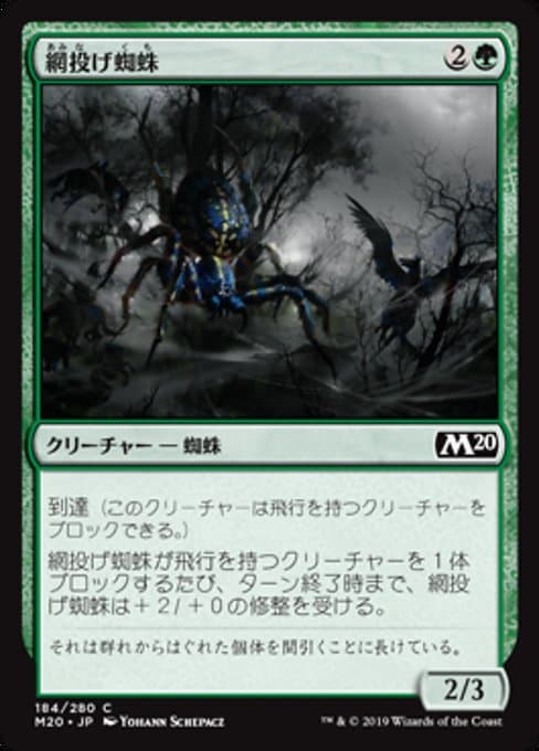 Netcaster Spider