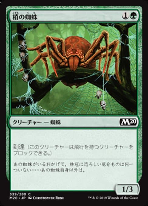 Canopy Spider