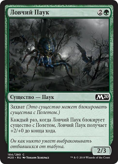 Netcaster Spider