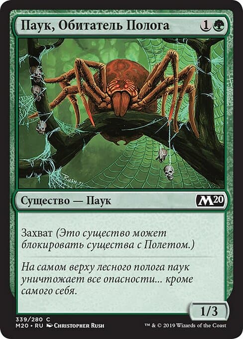 Canopy Spider