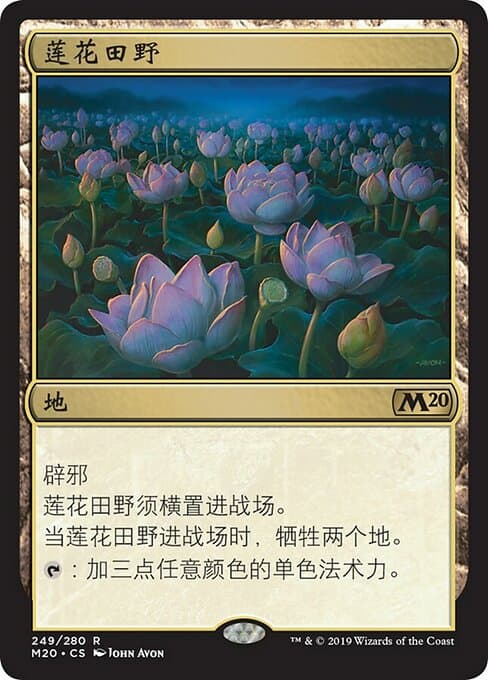 Lotus Field