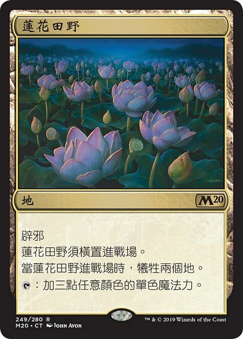 Lotus Field