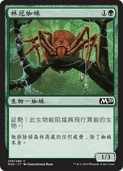 Canopy Spider