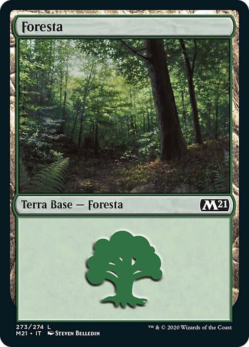 Forest