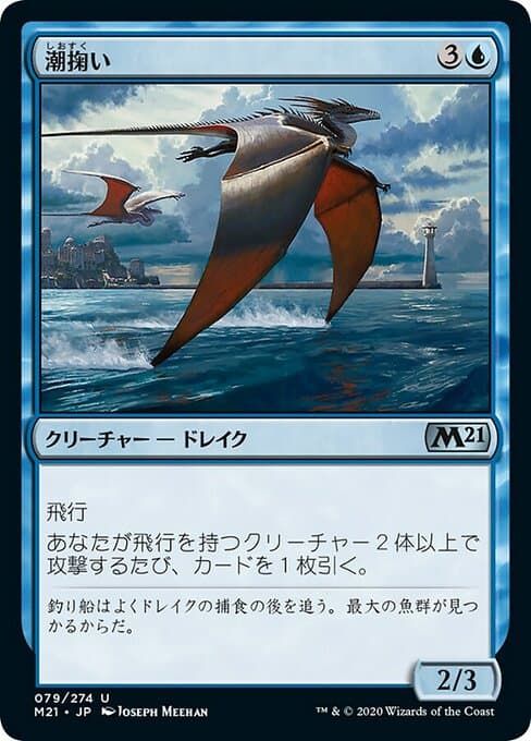 Tide Skimmer