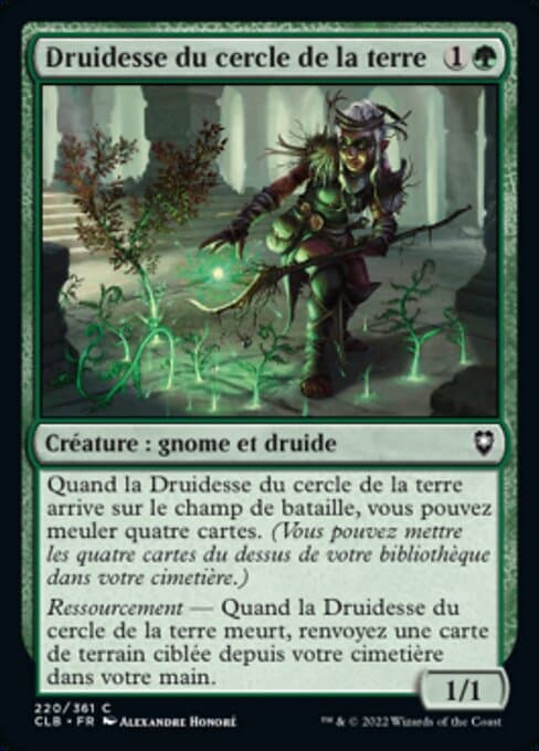 Circle of the Land Druid